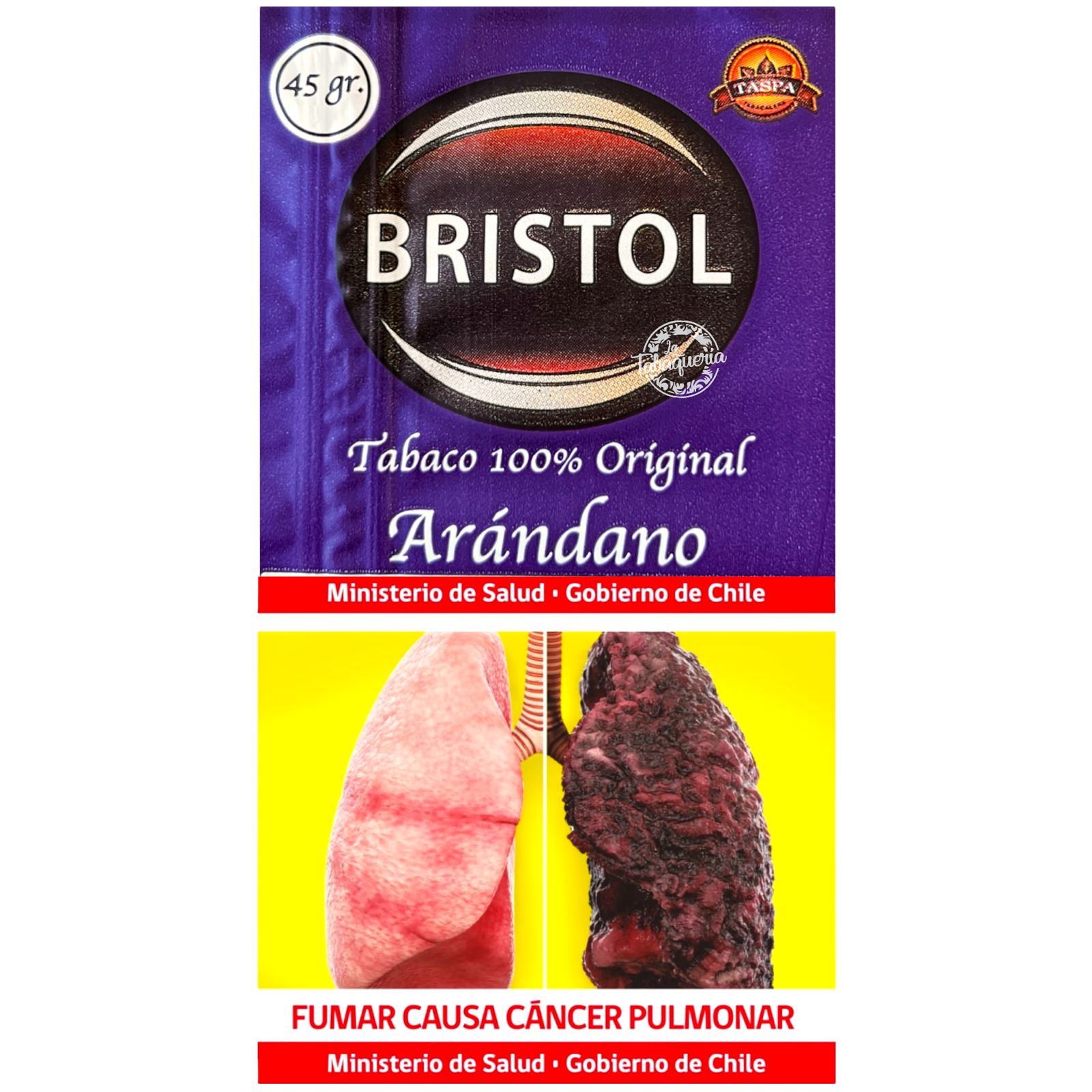 Bristol Arandano