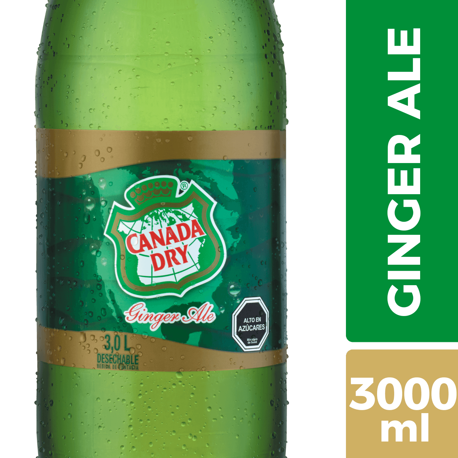 Canada Dry 3L