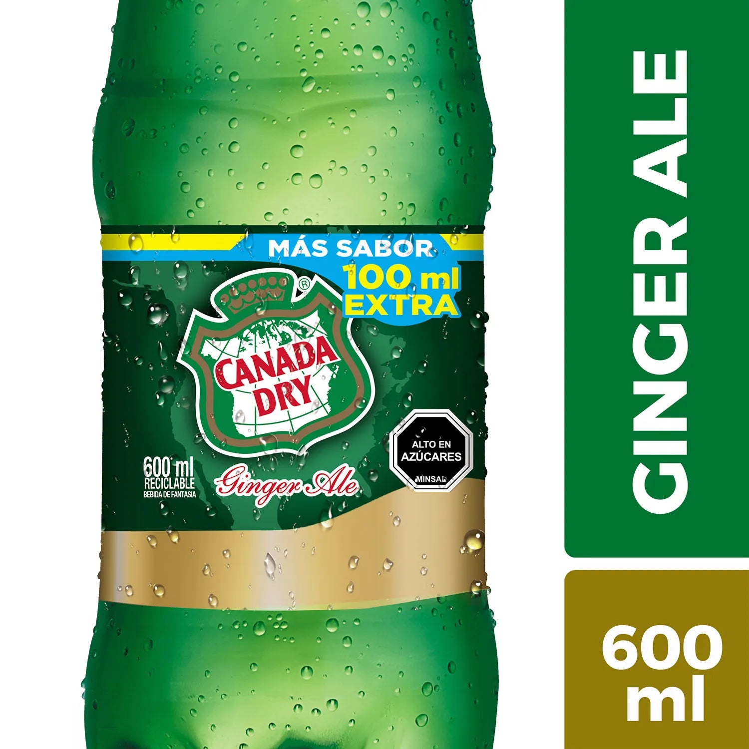 Canada Dry Ginger 600ml